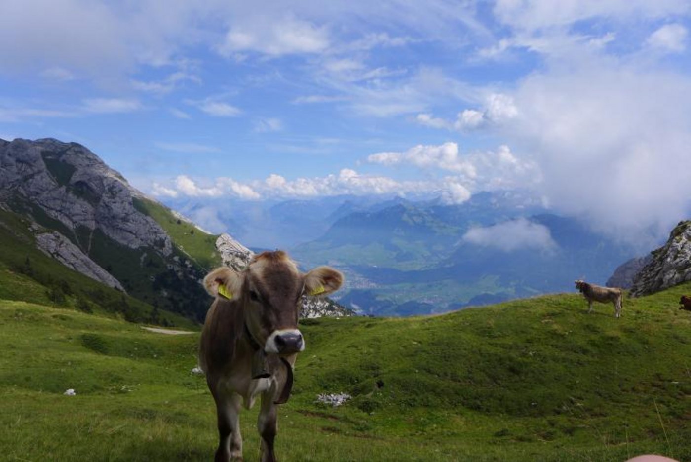 Alp Schwandi/Laub. (Bild David )