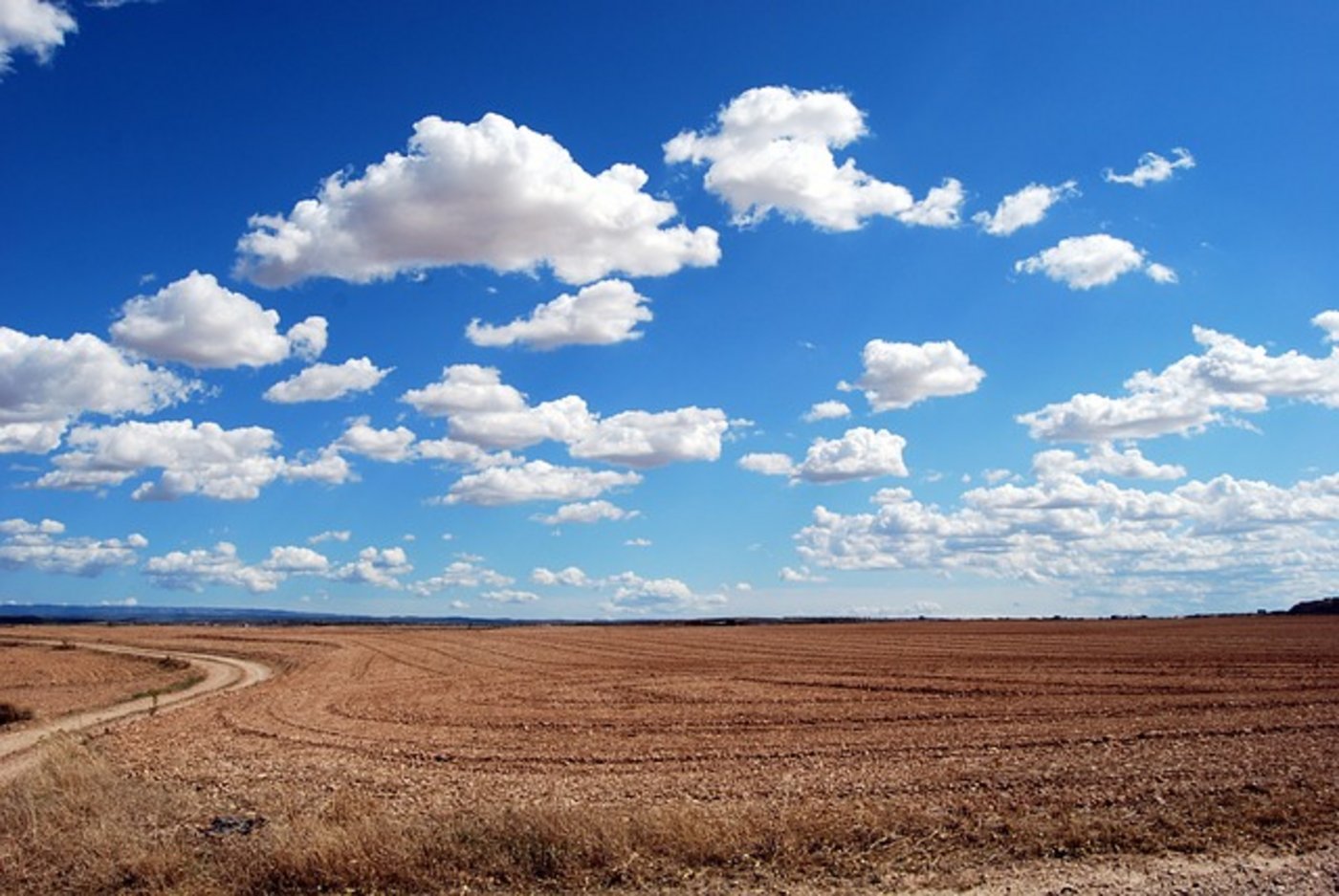 Grund für die Hitze seien, laut der WMO, vor allem die Emissionen von menschengemachten Treibhausgasen wie CO2. (Bild pixabay)