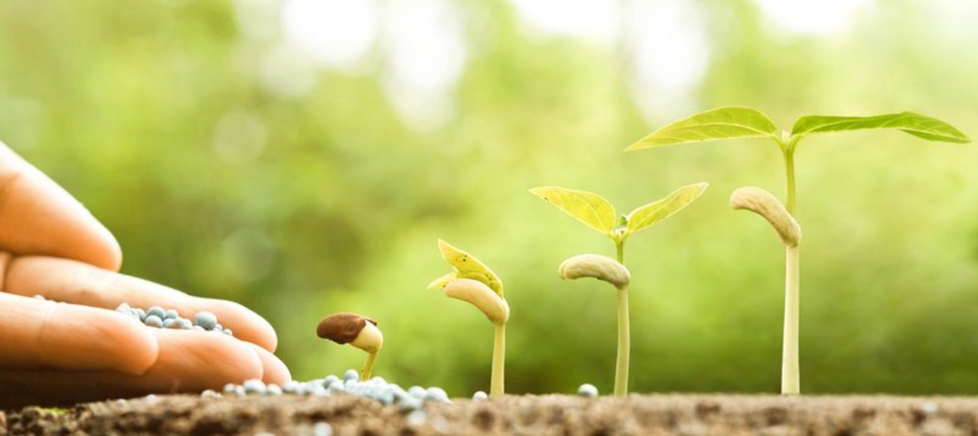 Weltweit wird an Nanopartikeln geforscht. Dies gilt auch für Dünger und Pestizide, die solche enthalten. (Bild Fotolia)