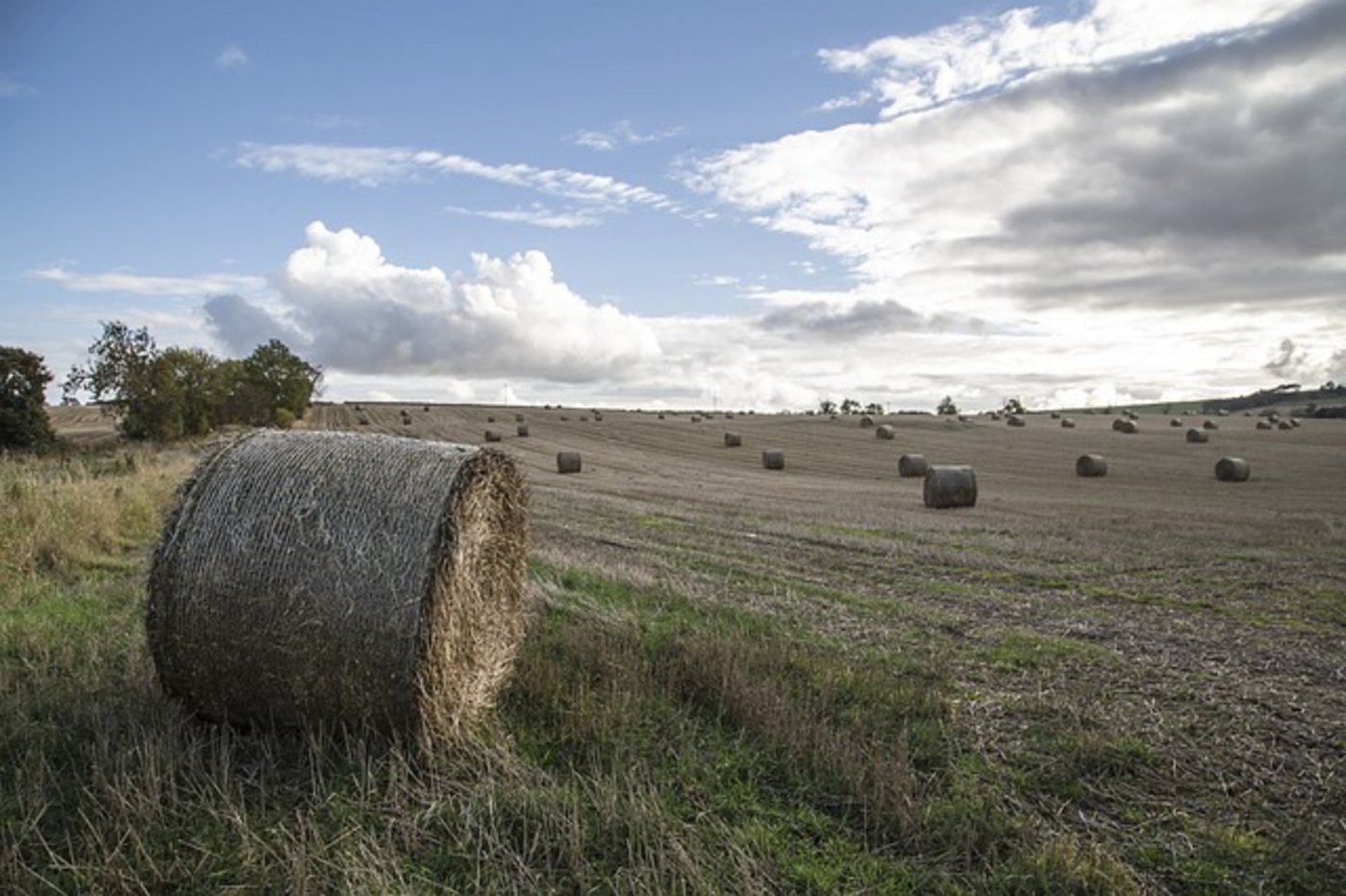 Auch die Landwirtschaft von Grosbritannien wurde vom heissen Sommer nicht verschont. (Symbolbild Pixabay)