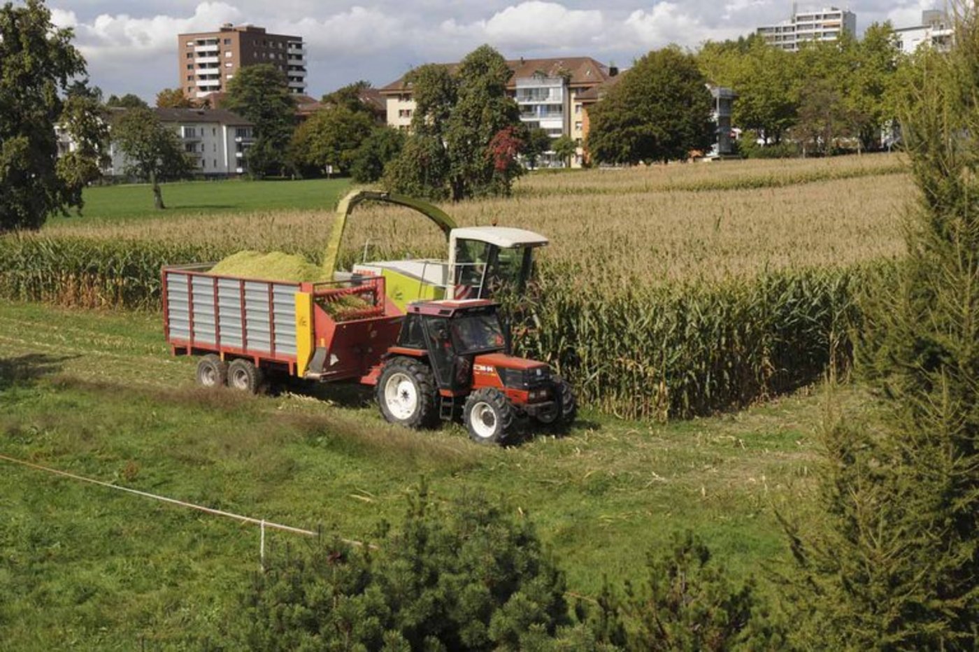Aktuell gibt es im Kanton Zug 569 Bauernbetriebe - das sind vier weniger als im Vorjahr. (Bild Beat Imfeld/landwirtschaft.ch)