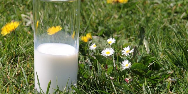 Auf dem Milchmarkt ist es – wenn überhaupt – nur auf den ersten Blick idyllisch:  Bei den Preisen wird getrickst, ist sich Big-M sicher. (Bild Myriams-Fotos /Pixabay) 