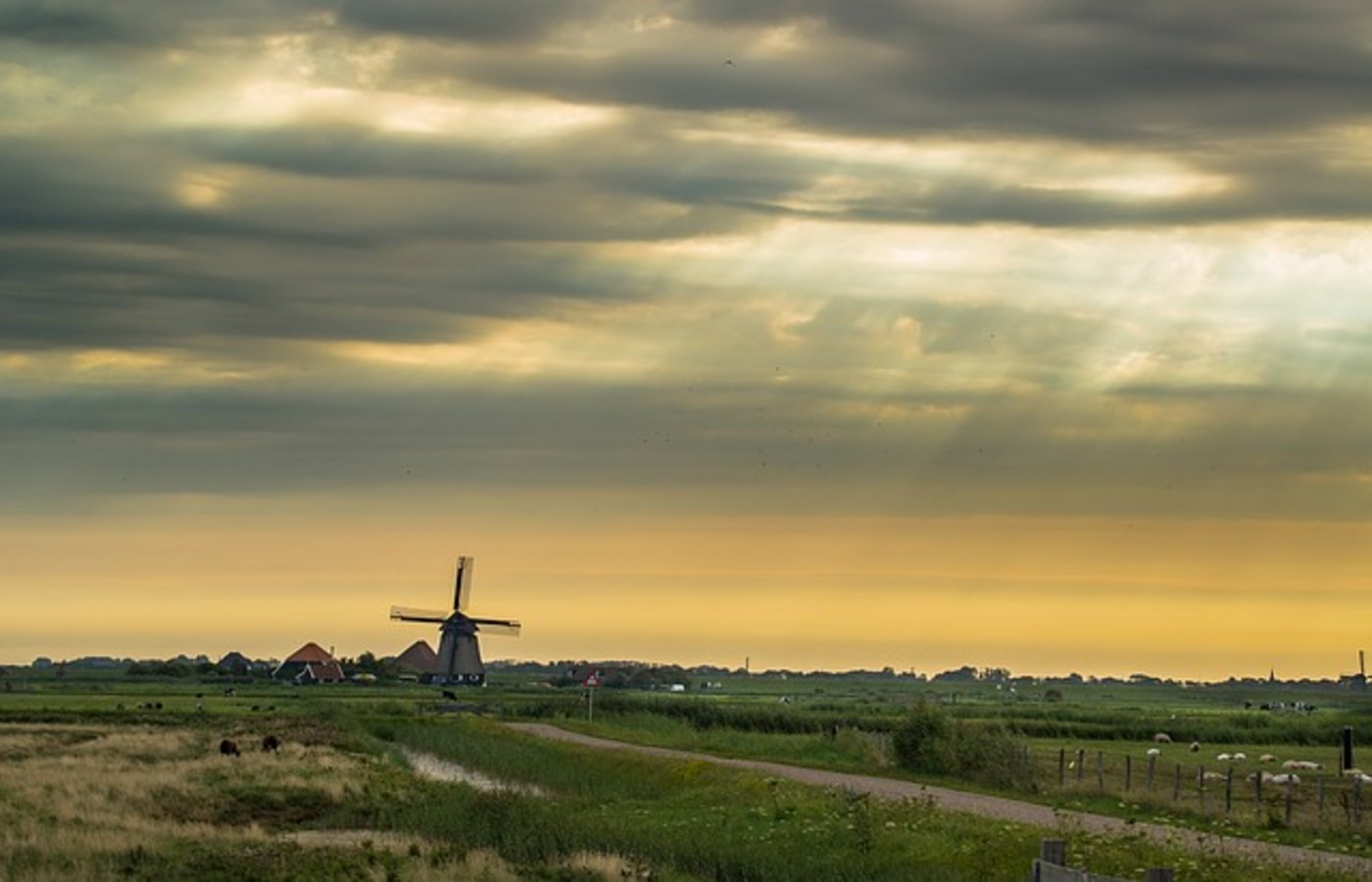 Die Niederlande will sich für umweltfreundliche Pflanzenschutzmittel einsetzen. (Bild Pixabay)