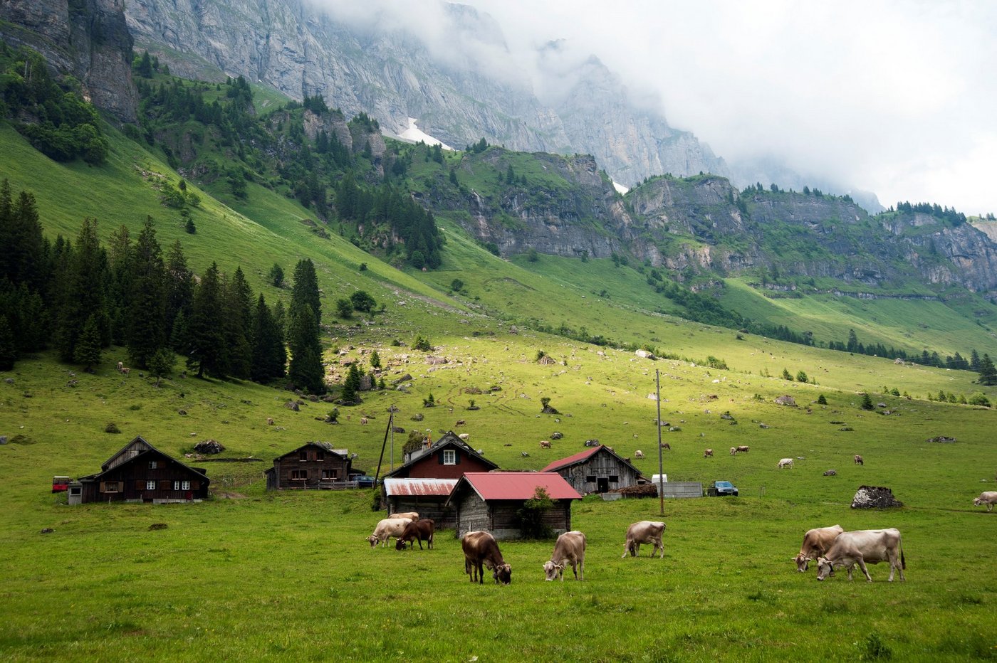 Milchproduzenten sollten wenn möglich in den Agrotourismus einsteigen, wenn sie ihr Einkommen steigern wollen. Das zeigt die neue Agroscope-Studie. (Bild Agroscope)