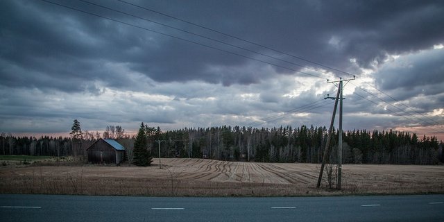 Düstere Zeiten in Finnland: Viele Landwirtschaftsbetriebe hören auf oder denken zumindest daran. (Bild Pixabay)