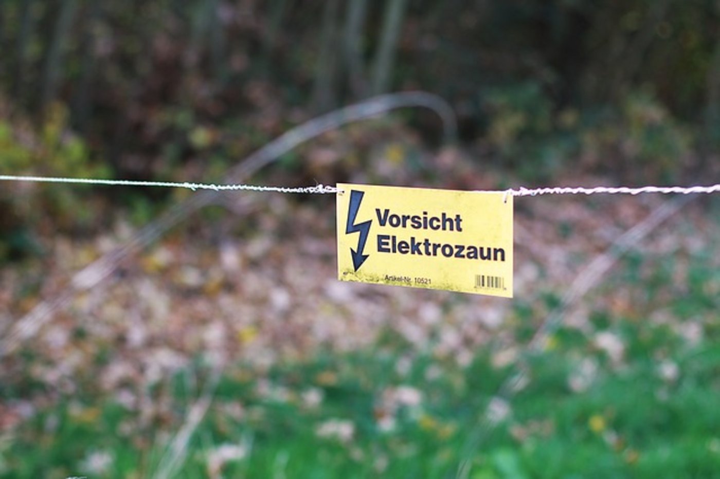 Geplant sind 120 Kilometer mobile Elektro- und Duftzäune. (Symbolbild Pixabay)