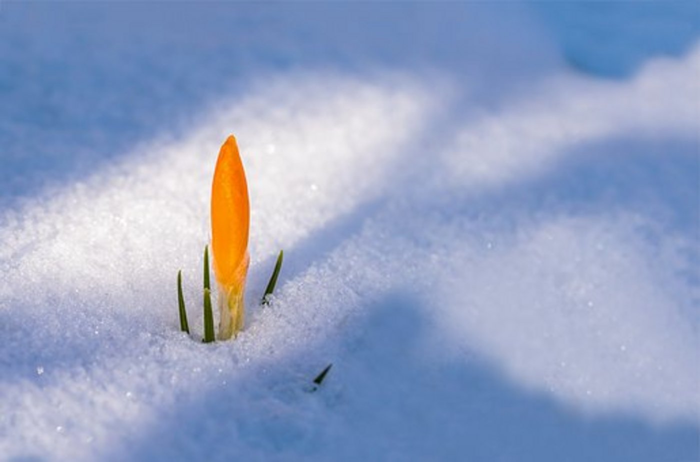 Trotz der «Russischen Kältepeitsche» war der aktuelle Winter statistisch gesehen leicht zu warm. (Symbolbild Pixabay)