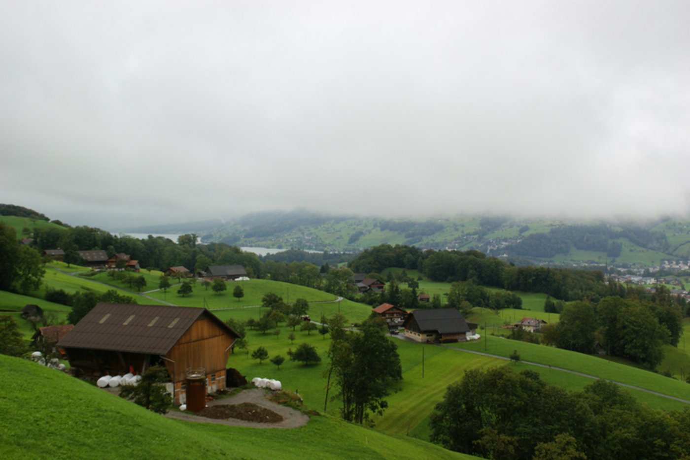 (Bild ji)