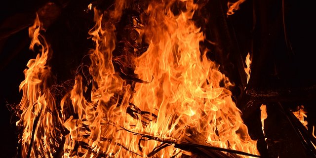 Eine Bauernfamilie konnte zwar zahlreiche Tiere vor dem Feuer retten, jedoch nicht alle. Nun haben Tierschützer den Landwirt angezeigt. (Symbolbild Pixabay) 