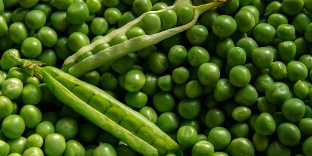 Erbsen sind im Gegensatz zu den meisten anderen Hülsenfrüchten auch roh geniessbar. Ausserdem enthalten sie viel Vitamin C und B2 und sind sehr eiweissreich. (Bild Pixabay)