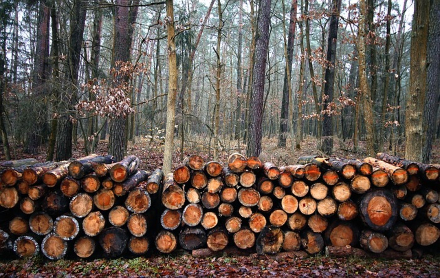 (Symbolbild Pixabay)