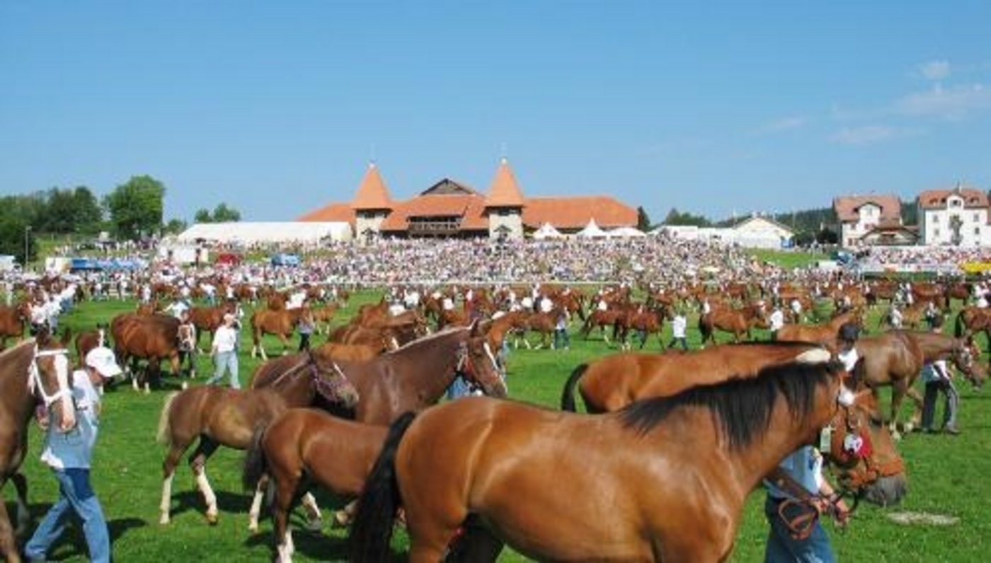 Am nachmittäglichen Folklore-Umzug nahmen 600 Tessinerinnen und Tessiner in rund 70 Formationen teil. (Bild BauZ)