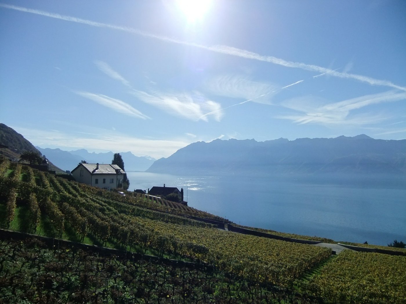 Die stabilen Temperaturen auf dem Seegrund bieten dem Weisswein ideale Lagerbedingungen. (Bild Pixabay)