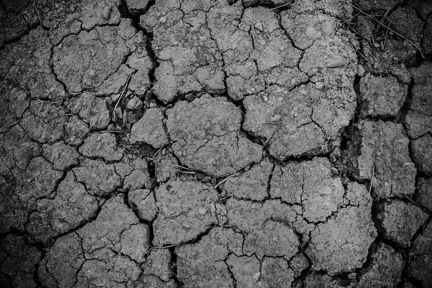 (Symbolbild Pixabay)