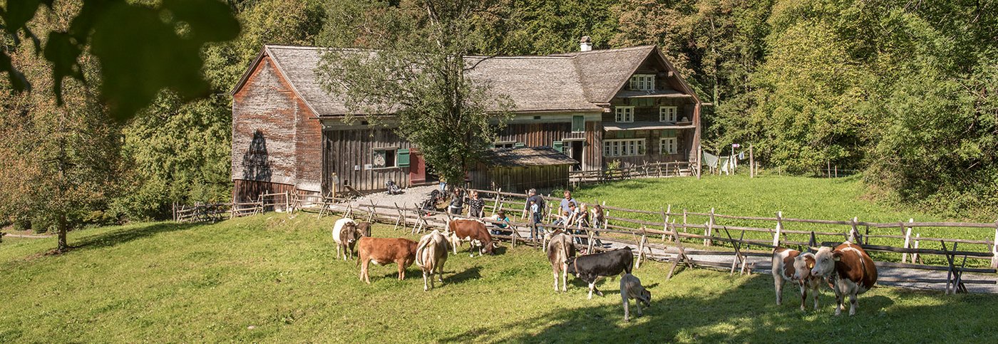 Erforscht werden die wirtschaftlichen, sozialen, politischen und kulturellen Wechselwirkungen von Ballenberghäusern und Bewohnergenerationen. (Bild ballenberg.ch)