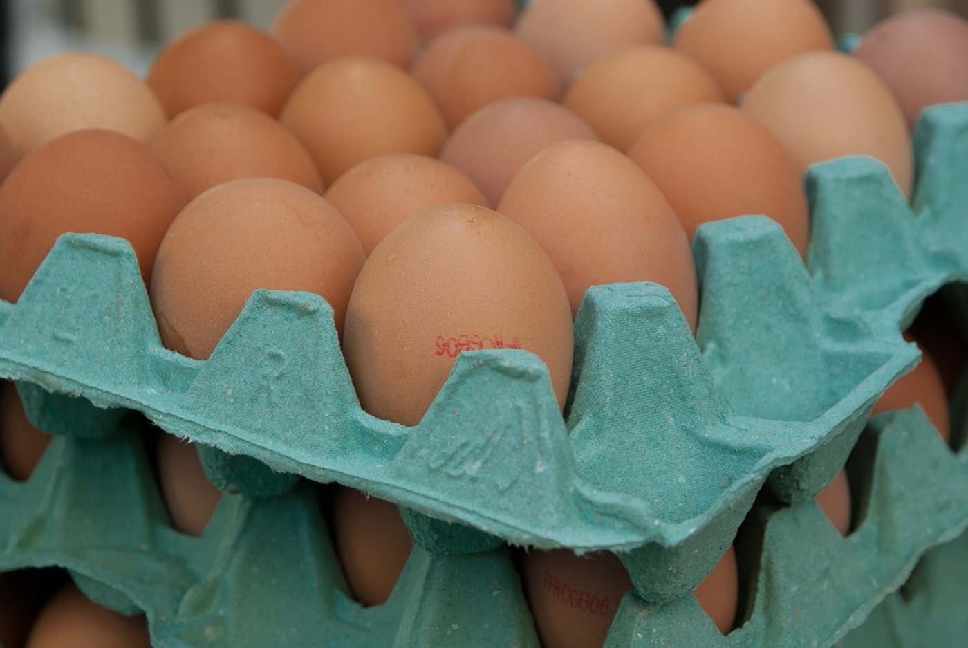 Die niederländische Behörde für Lebensmittelsicherheit (NVWA) bestritt, schon seit Ende 2016 über Fipronil in niederländischen Hühnereiern informiert gewesen zu sein. (S