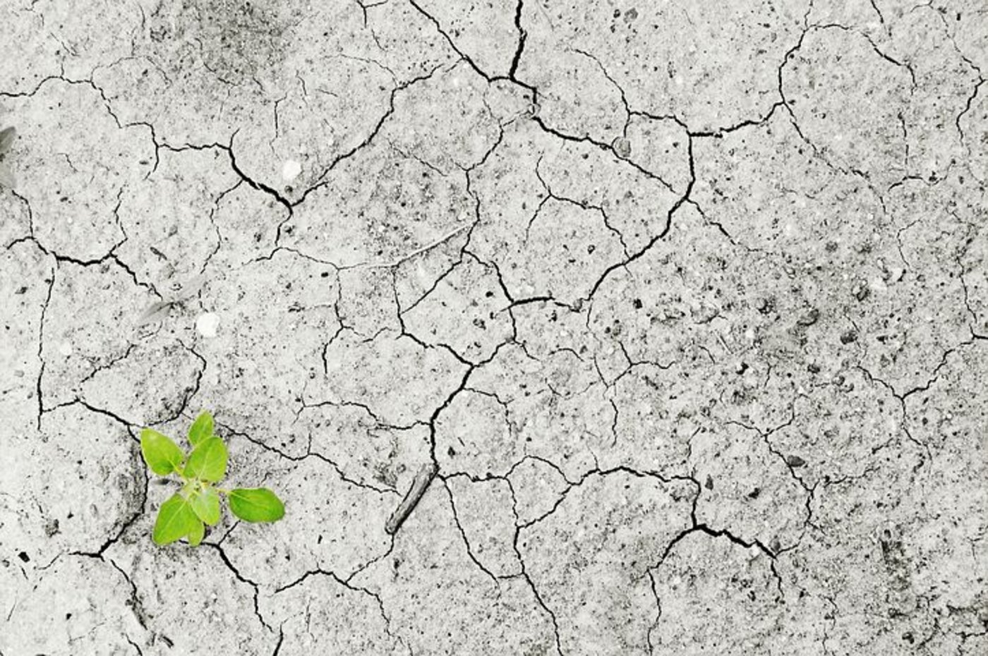 2017 ist auf dem Weg unter die drei heissesten bislang gemessenen Jahre zu werden. (Bild Pixabay) 