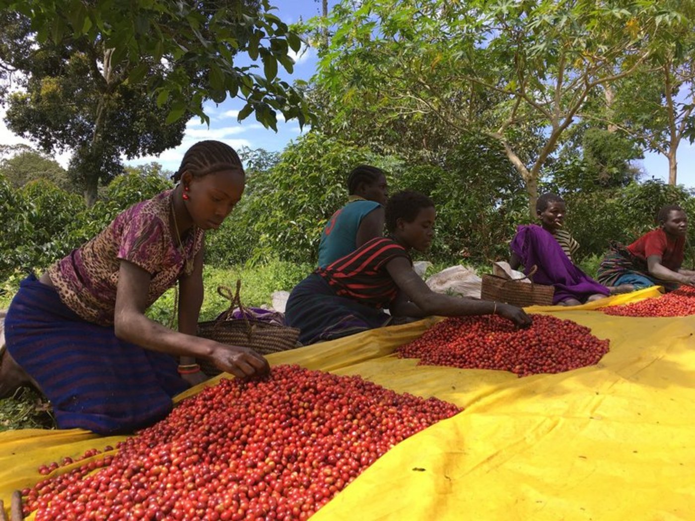 Die IFAD unterstützt die ländliche Bevölkerung vor allem in abgelegenen Gebieten. (Bild pd)