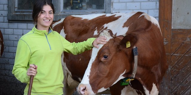 Im Umgang mit Kühen hat Sofia Benagli viel gelernt. Die Studentin der Veterinärmedizin verbrachte im Praktikum drei Wochen auf einem Bauernhof. (Bild Simone Barth)