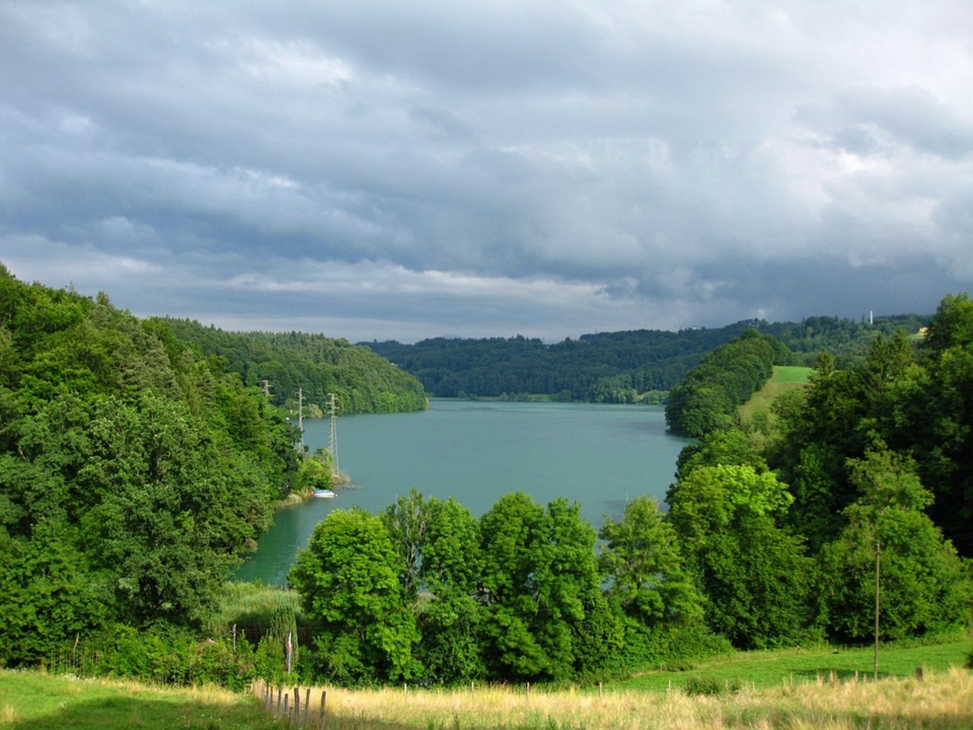 Bäume am Wohlensee im Kanton Bern. (Bild Pixabay)