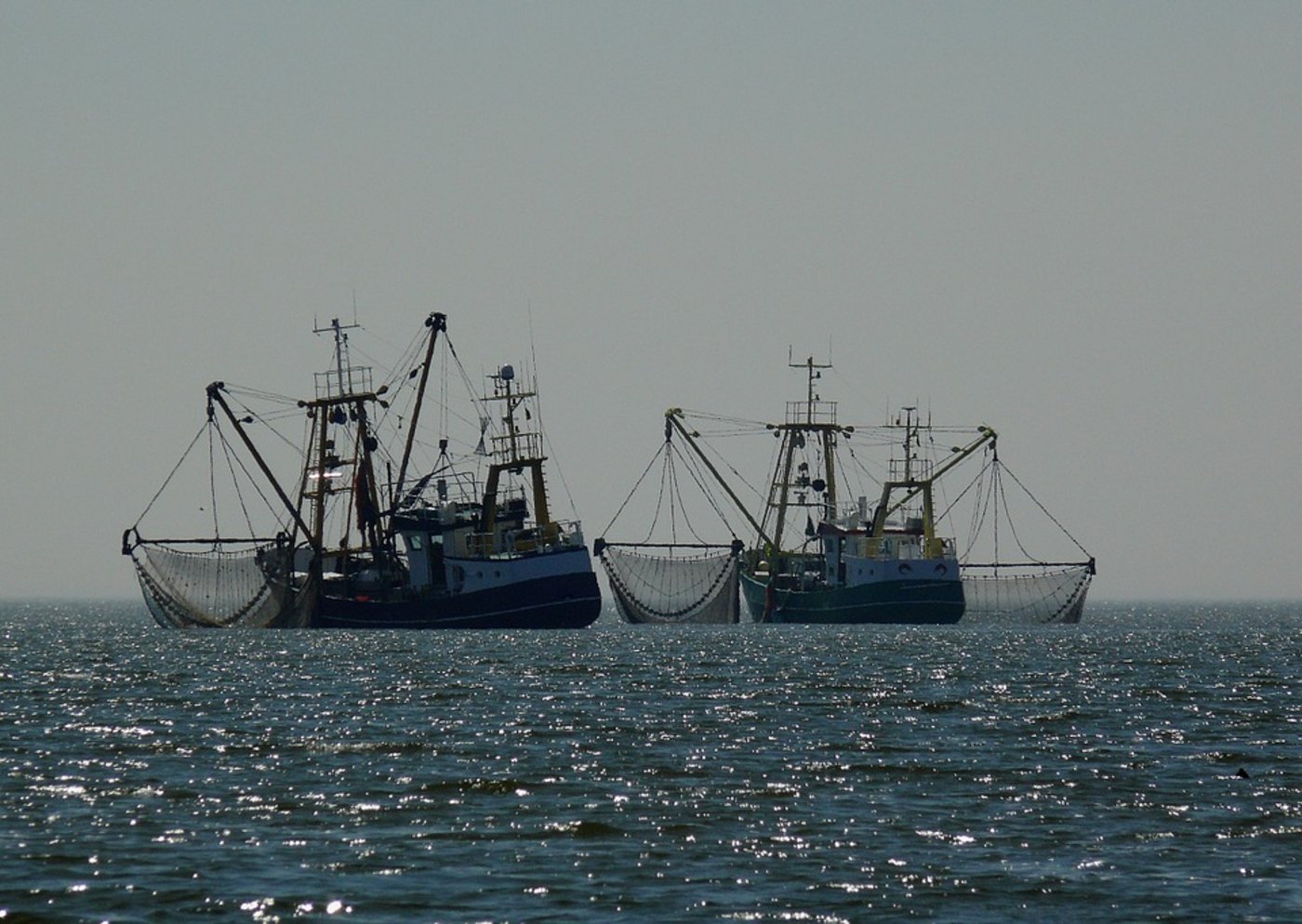 Die weltweite Fischfangindustrie ist 160 Milliarden Dollar schwer. Experten schätzen, dass rund ein Drittel des gesamten Fangs aus nicht nachhaltiger Fischerei stammt - die Gewässer also überfischt werden. (freegreatpicture.com)