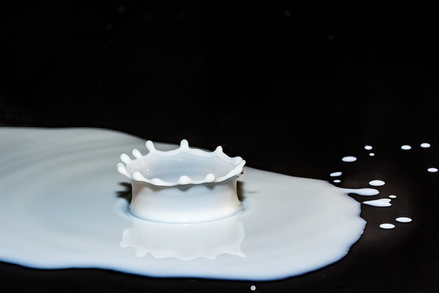 Eine Standesinitiative des Kanton Juras zur Steuerung der Milchproduktion blieb im Parlament chancenlos.(Symbolbild Pixabay)