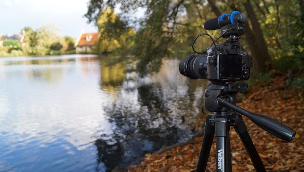 Das SRF-Video habe zwar eine umfassende Besprechung der Initiativen versprochen, aber nur einseitig informiert. (Symbolbild jamesmarkosborne/Pixabay) 