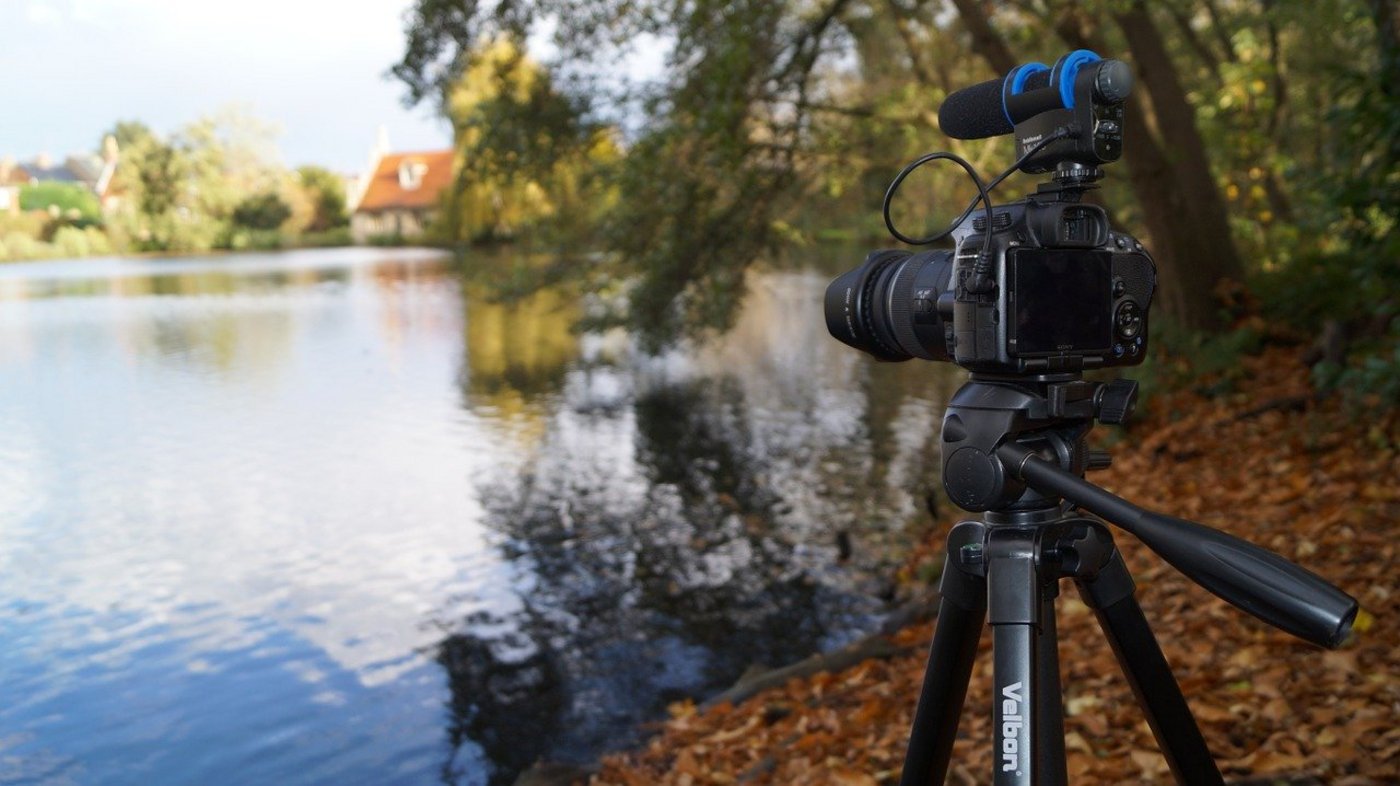 Das SRF-Video habe zwar eine umfassende Besprechung der Initiativen versprochen, aber nur einseitig informiert. (Symbolbild jamesmarkosborne/Pixabay) 