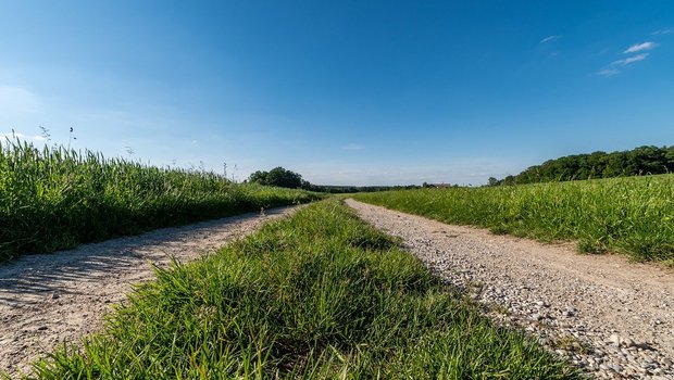 In der IGAS sind unter anderem Bio Suisse, IP-Suisse, Suisseporcs, Fromarte, Emmi, Migros, Coop und die Stiftung für Konsumentenschutz. Die IG möchte das Potenzial des Absenkpfads aufzeigen und die Wertschöpfung im Inland stärken. (Bild  Magna_KursUr / Pixabay)