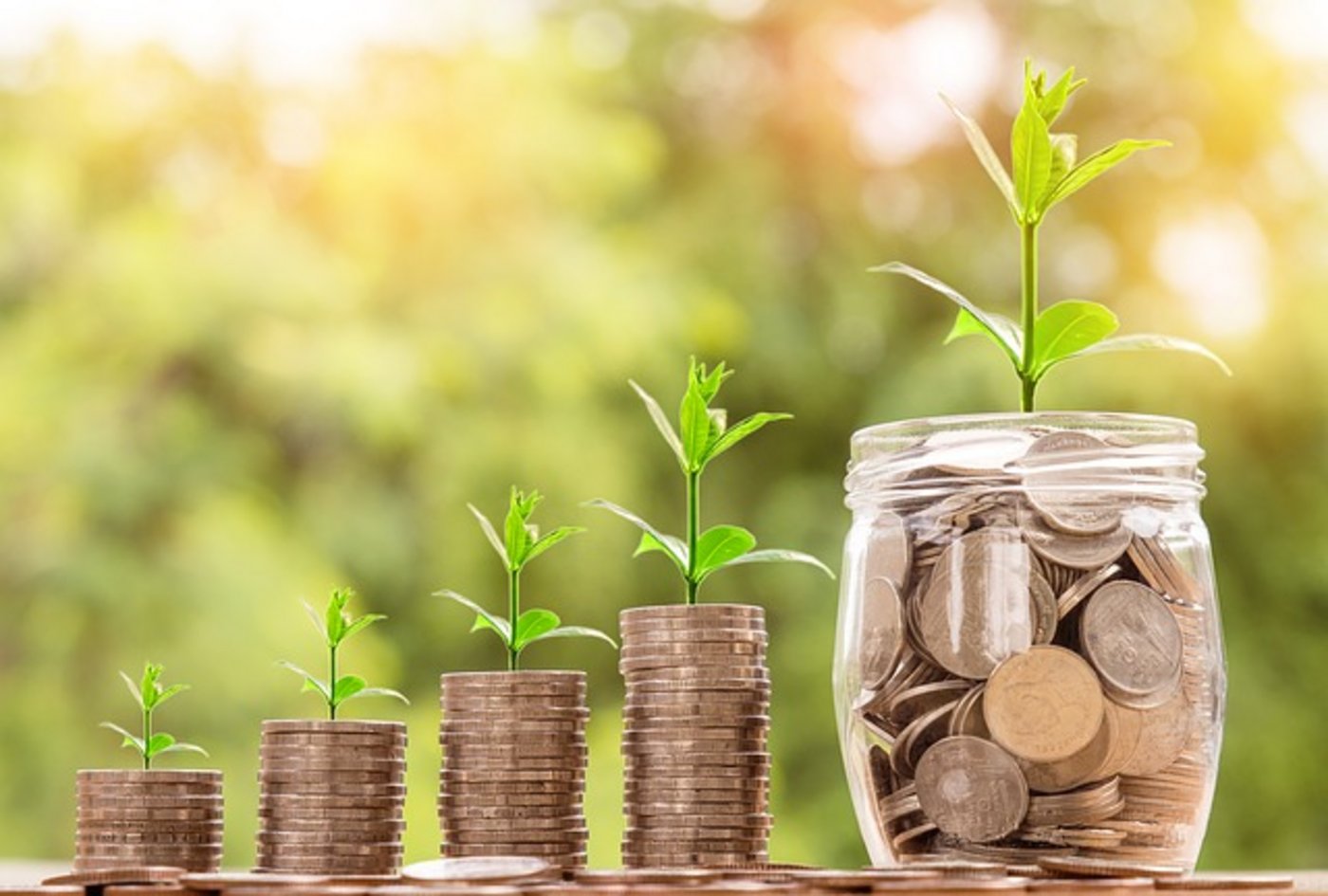 Im vergangenen Geschäftsjahr hat die Bäuerliche Bürgschaftsgenossenschaft knapp 17,5 Mio Franken verbürgt, das sind 1,3 Mio Franken mehr als im Vorjahr. (Bild Pixabay)
