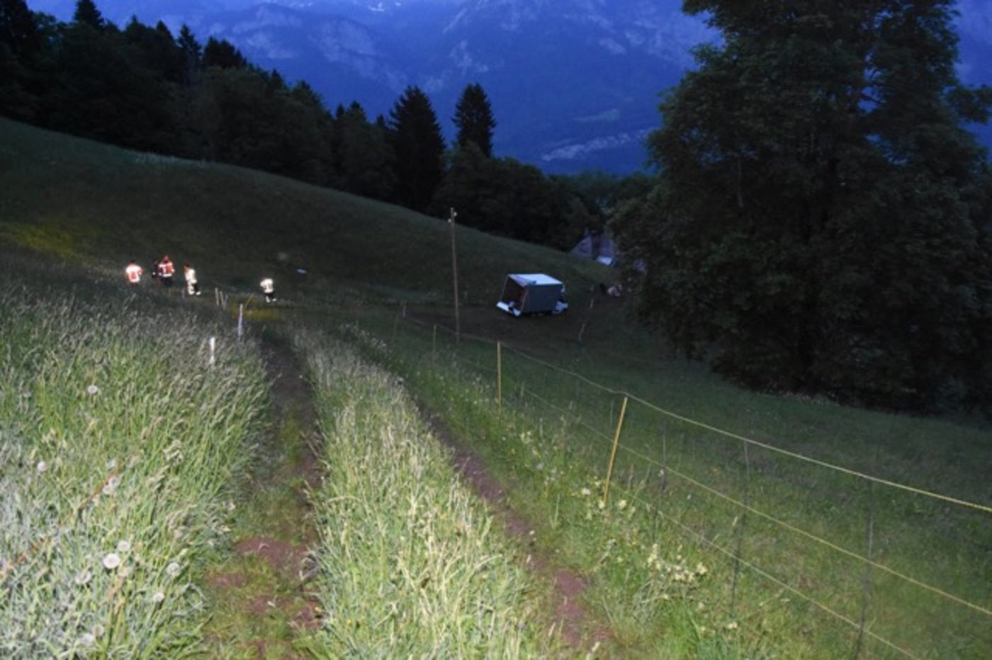 Diesen steilen Wiesenweg war der Chauffeur hinunter gefahren. 