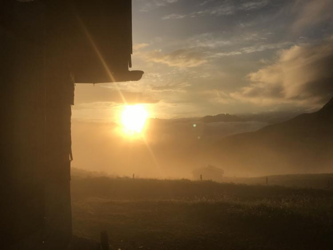 Eindrücke von der Alp Fideriser Duranna. (Bilder zVg)