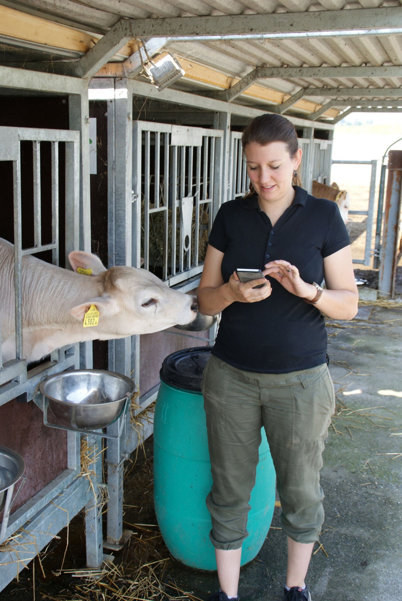 Anna Felber empfängt den Abkalbe-Alarm über das Handy.