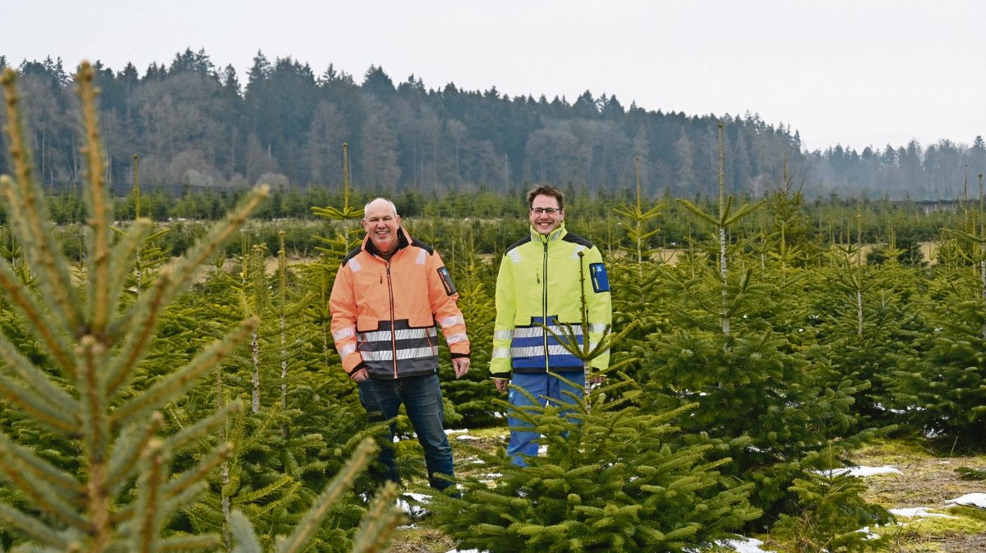 Weihnachten, oder zumindest die dazugehörenden Weihnachtsbäume, sind das ganze Jahr hindurch Thema bei Markus (links) und Patrick Heri. Offensichtlich verleidet es ihnen nicht.  (Bilder BauernZeitung/Andrea Wyss)