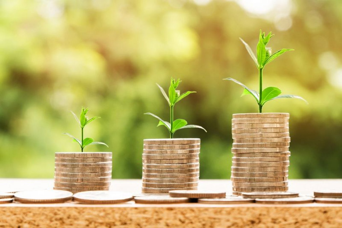 Erfreuliches Betriebsergebnis bei der Pensionskasse Agrisano Pencas. (Bild Pixabay)