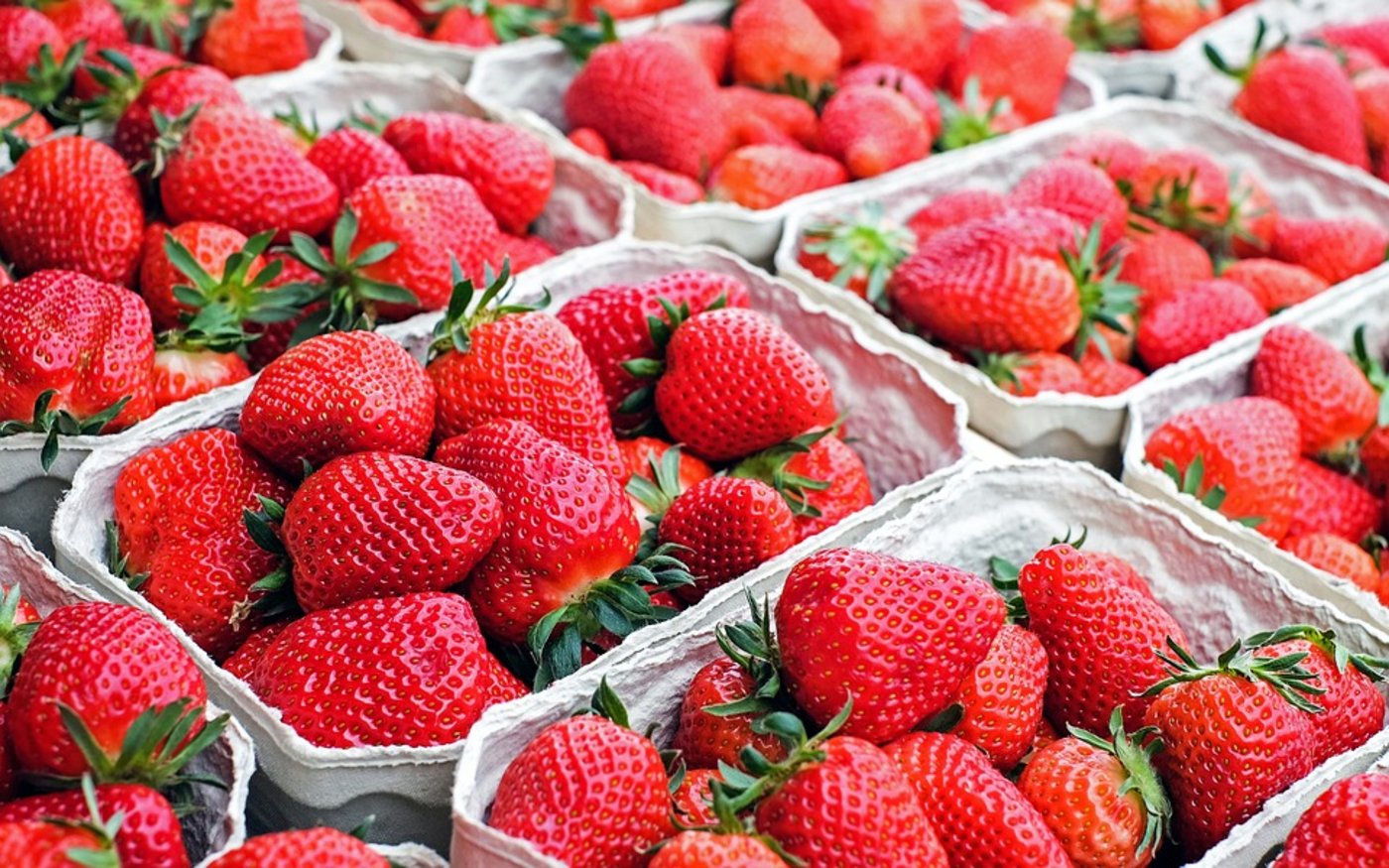 Bei den Erdbeeren lag die Ernte rund 21 Prozent unter dem Durchschnitt der vergangenen fünf Jahre. (Bild Pixabay)