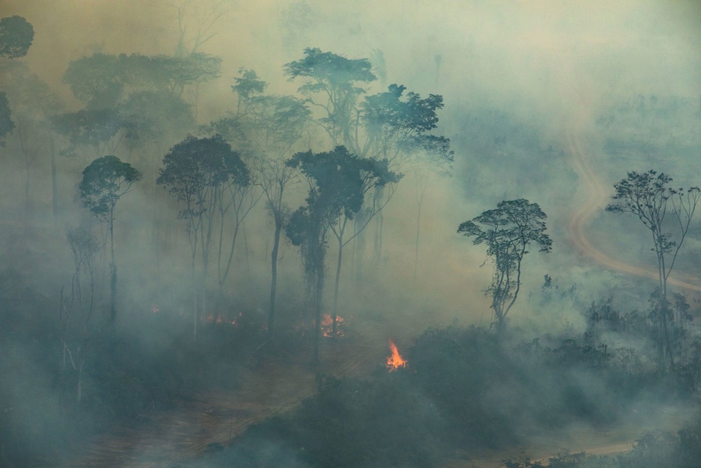 Die Brände im Amazonas-Gebiet sorgen weltweit für Empörung. (Bild Victor Moriyama / Greenpeace)