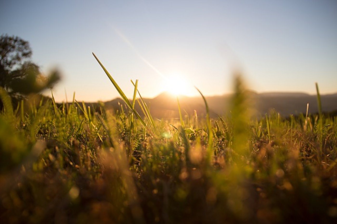 MeteoSchweiz erwartet Höchsttemperaturen für Mittwoch und Donnerstag - teils bis zu 39 Grad. (Bild Pixabay)