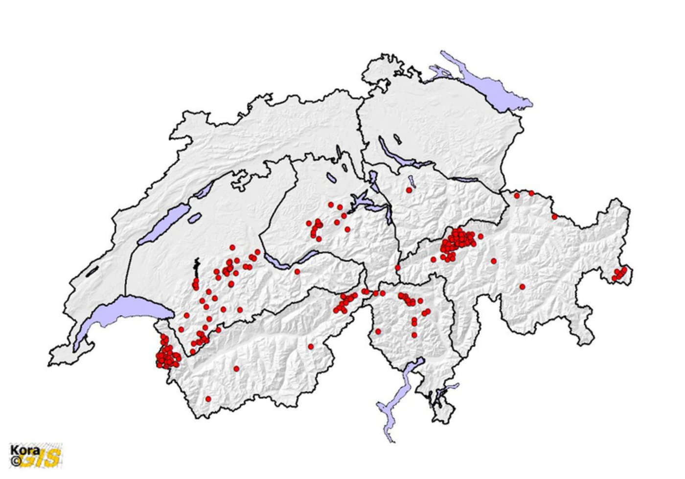 Wolfs-Nachweise in der Schweiz zwischen 2005 und 2009. (KORA)
