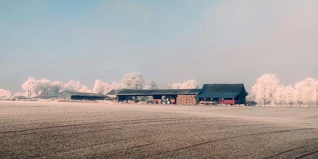 Im Jahr 2018 gab es in Frankreich weniger Insolvenzen bei den Bauern. (Bild pixabay)