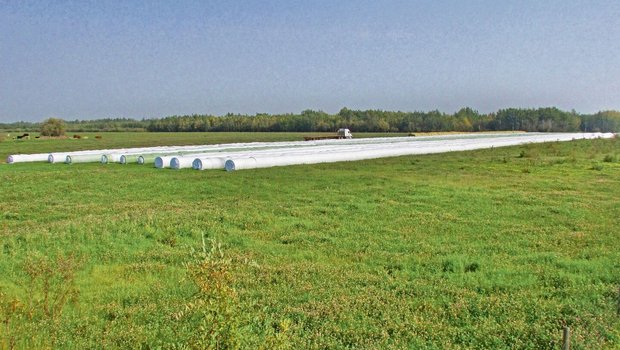 Familie Ruckstuhl und die  Crew haben wacker gearbeitet. Das Heuen war wegen des schlechten Wetters schwierig, aber es konnten knapp 2500 Siloballen und rund 500 Gersten-Strohballen gemacht werden.