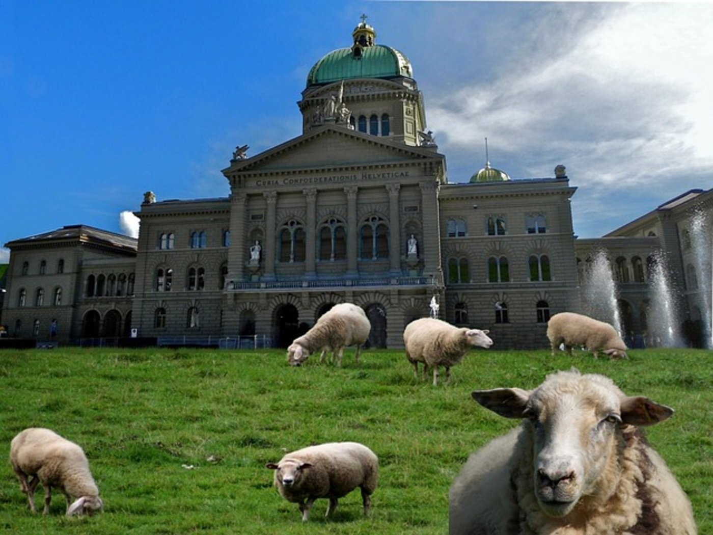 Das Budget für die Landwirtschaft wird erhöht. (Symbolbild Pixabay)