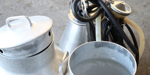Die Einführung des grünen Teppichs könnte auch Folgen für die Festlegung des A-Milch-Richtpreises haben. (Bild BauZ)