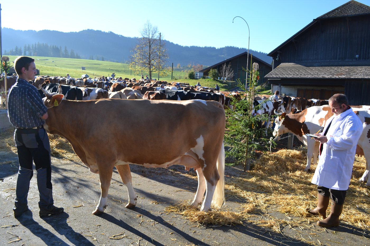 Ein kritischer Blick vom Experten Josef Krügel.