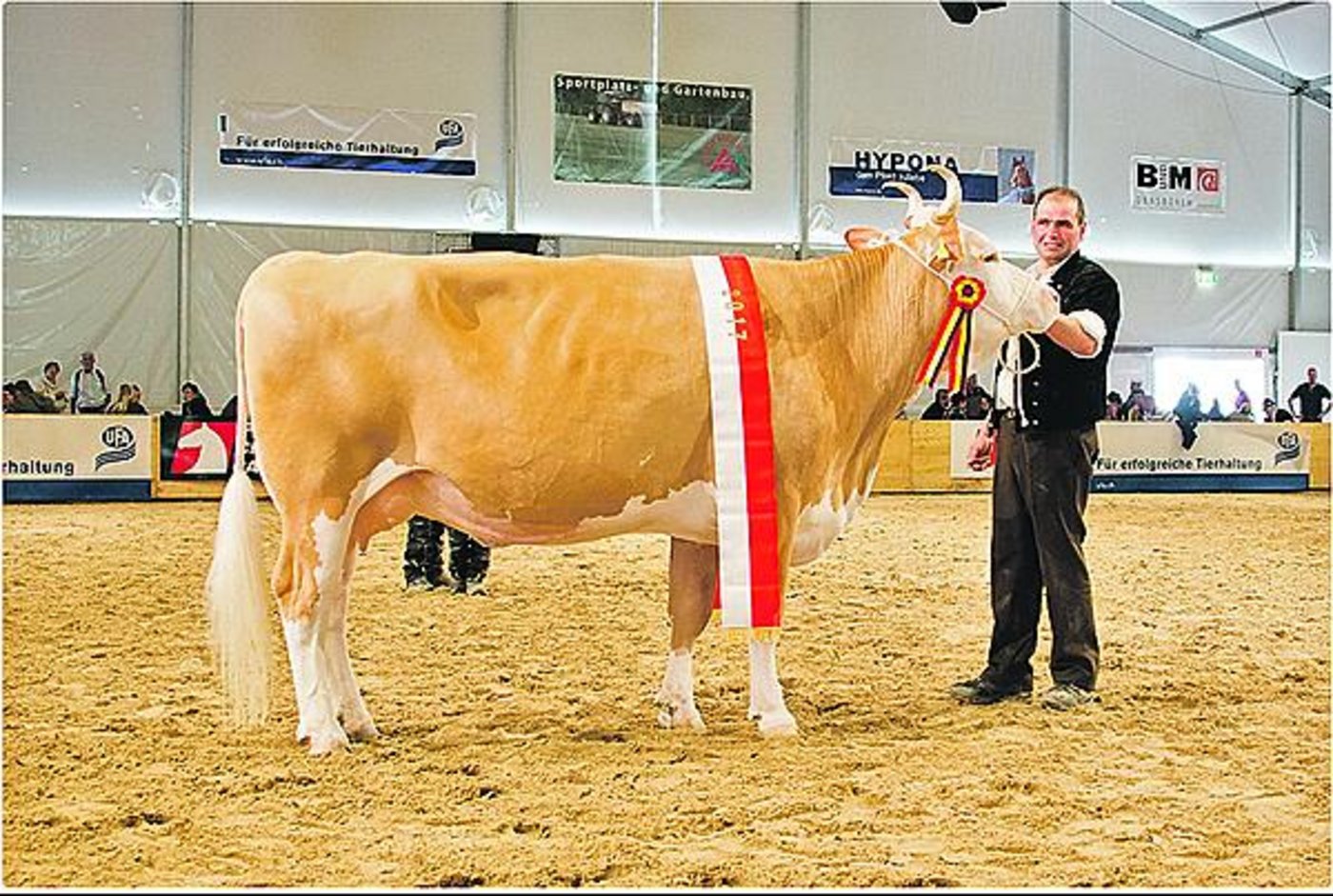 Roman Livia von Hansueli Aebersold aus Beatenberg BE gewann letztes Jahr den Titel Miss BEA:(Bild Hansjürg Jäger)