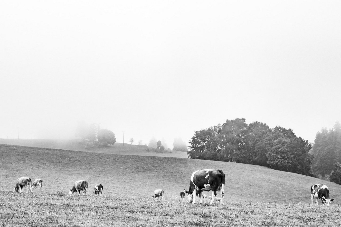 Zum Doppelmord sind noch viele Fragen offen, die Ermittlungen laufen. (Symbolbild Pixabay)