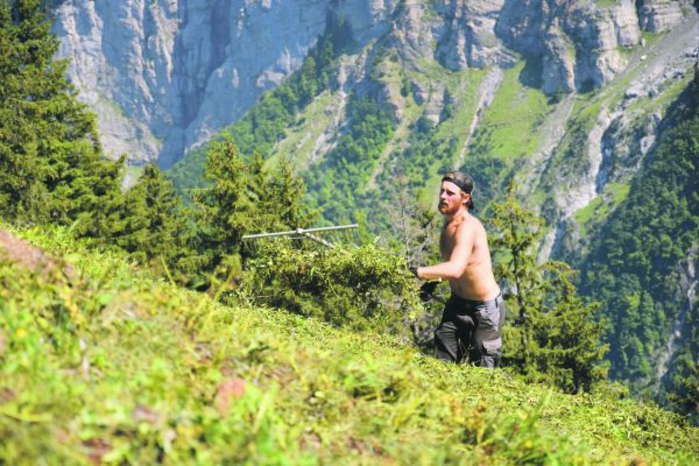 Beim Wildheuen ist viel Handarbeit nötig. Doch das ist genau das, was Manuel Hadorn an den Zivildiensteinsätzen so gefällt. (Bilder Jasmine Baumann)