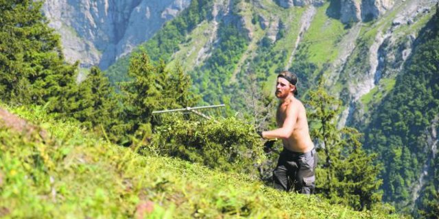 Beim Wildheuen ist viel Handarbeit nötig. Doch das ist genau das, was Manuel Hadorn an den Zivildiensteinsätzen so gefällt. (Bilder Jasmine Baumann)