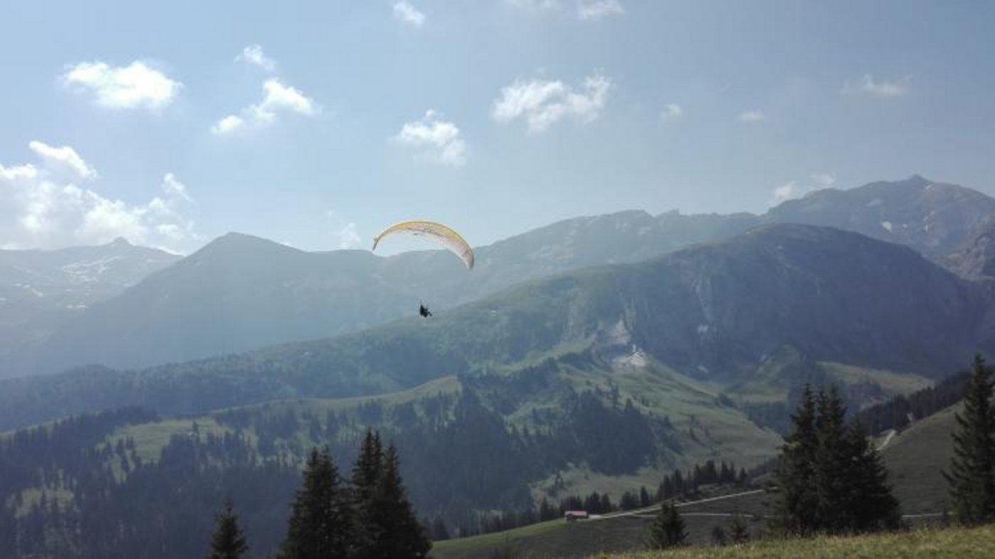 Während des Fluges fühlten sich die Älpler so frei wie ein Adler. (Bild Jessica Rinnerthaler) 