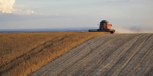 In Landwirtschafts-Kreisen befürchtet man Ertragseinbussen und fordert, die Auswirkungen der geplanten Massnahmen müssten vor der Zielfestlegung weiter bewertet werden. (Symbolbild Pixabay)